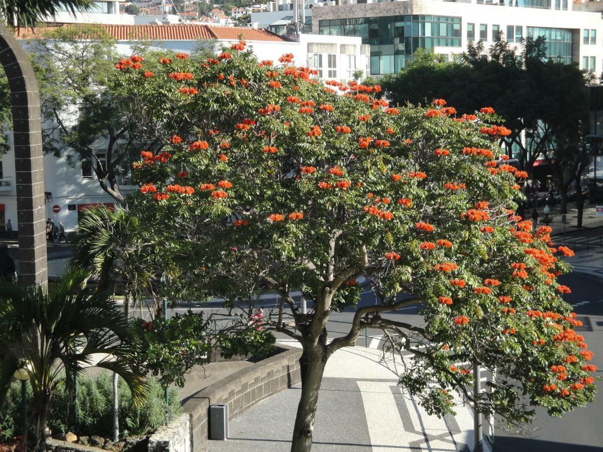 Violeta House Casa vacanze Funchal (Madeira)